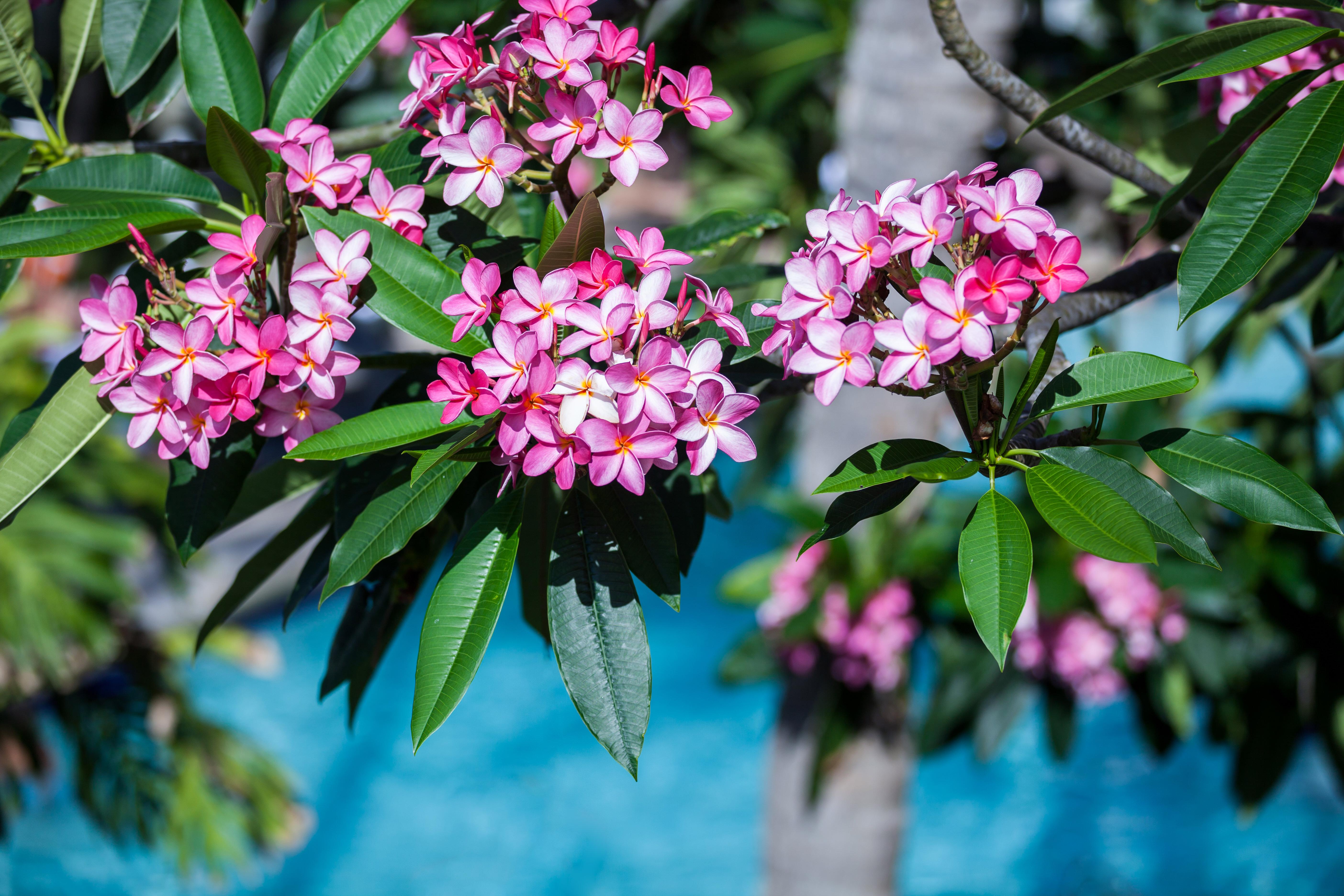 Opal Key Resort & Marina Key West Ngoại thất bức ảnh